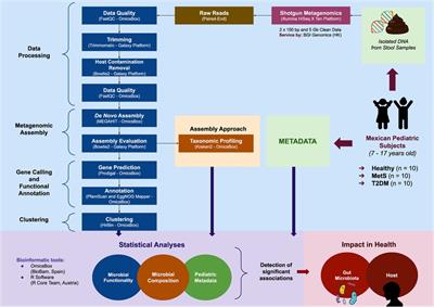 Gut microbial composition and functionality of school-age Mexican population with metabolic syndrome and type-2 diabetes mellitus using shotgun metagenomic sequencing